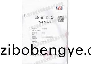 水環(huán)式(shi)真(zhen)空泵(beng)檢(jian)測報告